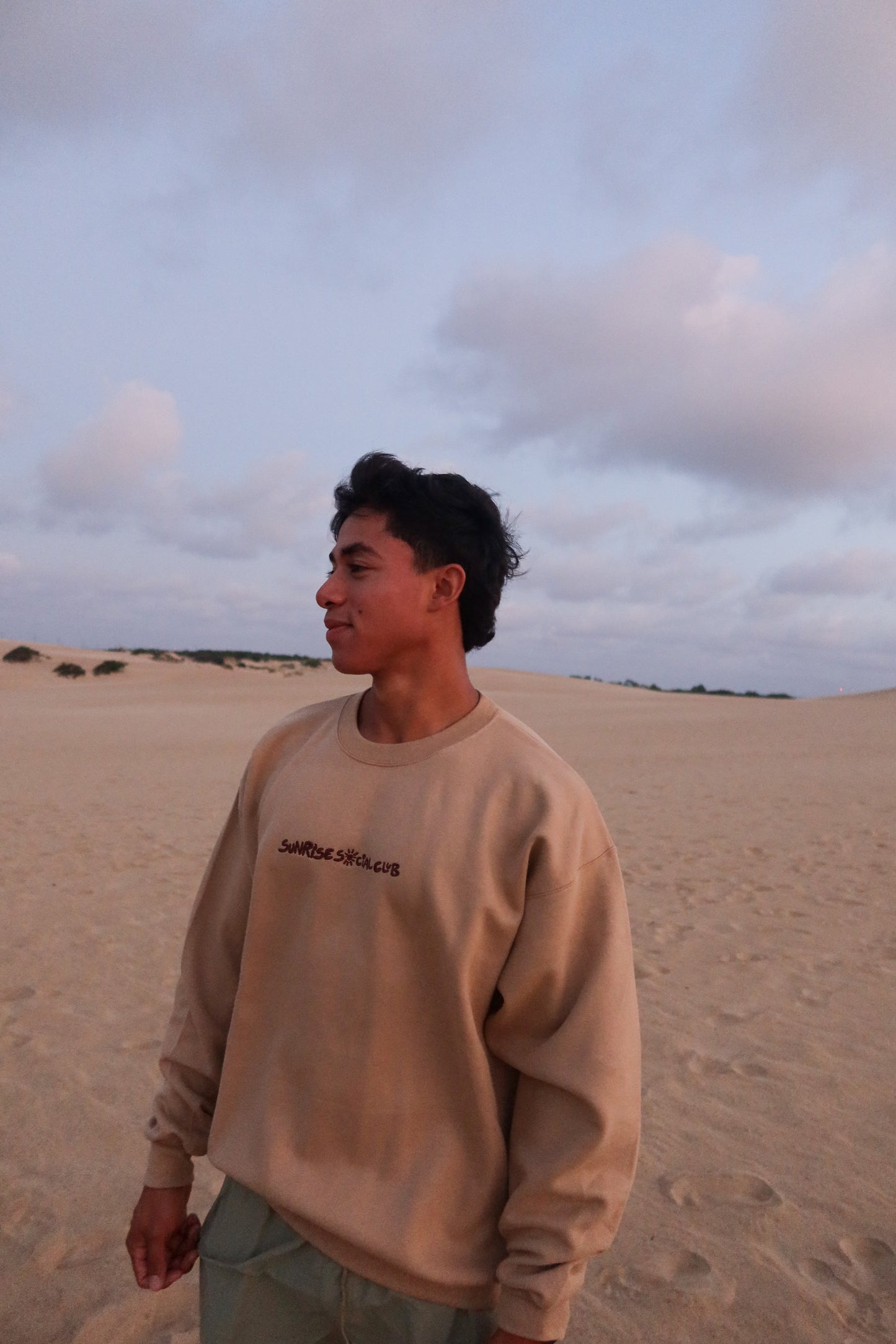 Pebble Brown Sippin' On Sunshine Crewneck